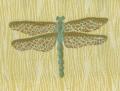 Picture of cool-est_dragonfly