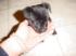 Picture of Cella